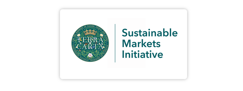 Sustainable Markets Initiative
