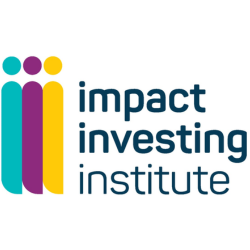 Impact Investing Institute